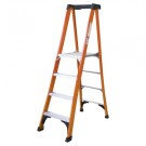 Specialty Ladder Platform